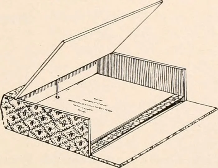 An illustration from Catalog no. 177, 1911, leaf 82