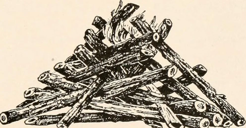 An illustration from Catalog no. 177, 1911, leaf 92