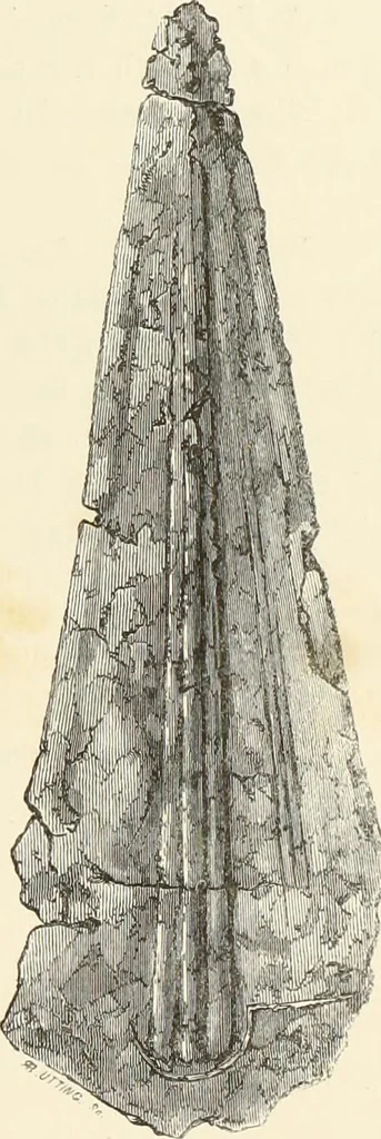 An illustration from A catalog of the antiquities and works of art, exhibited at Ironmongers' Hall, London, in the month of May, 1861, 1869, leaf 18