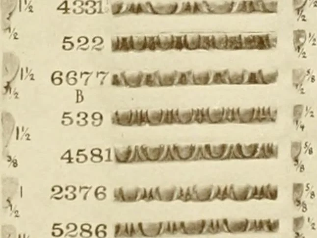 An illustration from Catalog of Capitals, brackets and compo ornament for exterior and interior decoration, 1900, leaf 24