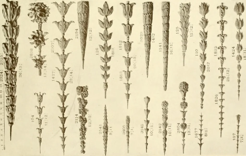 An illustration from Catalog of Capitals, brackets and compo ornament for exterior and interior decoration, 1900, leaf 92