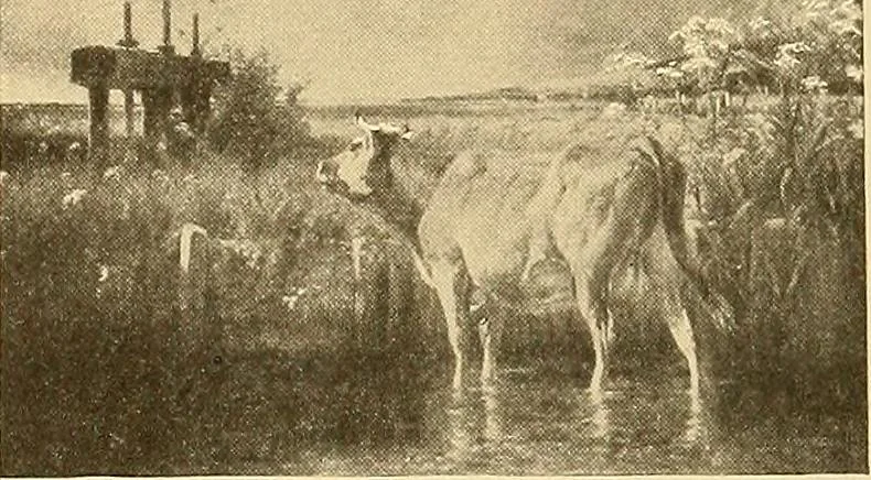 An illustration from Catalog of large carbon photographs, photogravures, engravings, etchings and copper-plate paintings in the educational art exhibitions of A.W. Elson & Company with a list of other pictures recommended for school, library, and home decoration, 1910, leaf 106