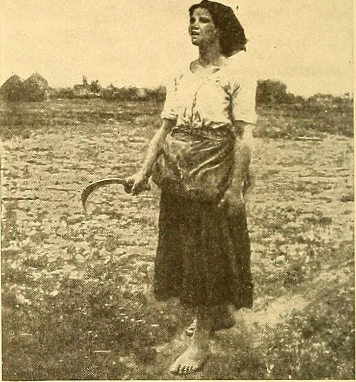 An illustration from Catalog of large carbon photographs, photogravures, engravings, etchings and copper-plate paintings in the educational art exhibitions of A.W. Elson & Company with a list of other pictures recommended for school, library, and home decoration, 1910, leaf 107