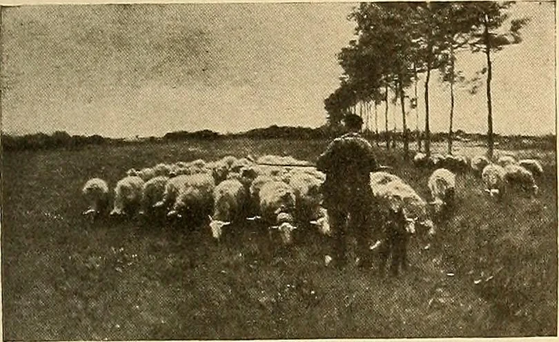 An illustration from Catalog of large carbon photographs, photogravures, engravings, etchings and copper-plate paintings in the educational art exhibitions of A.W. Elson & Company with a list of other pictures recommended for school, library, and home decoration, 1910, leaf 50