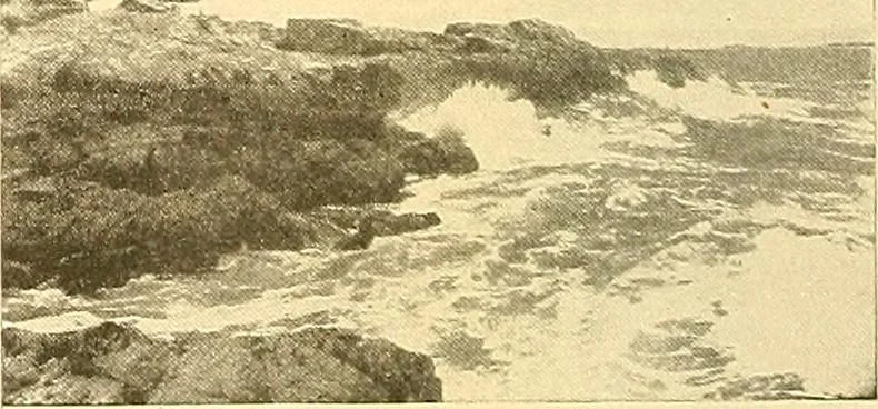 An illustration from Catalog of large carbon photographs, photogravures, engravings, etchings and copper-plate paintings in the educational art exhibitions of A.W. Elson & Company with a list of other pictures recommended for school, library, and home decoration, 1910, leaf 55
