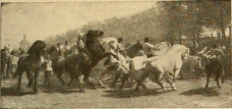 An illustration from Catalog of large carbon photographs, photogravures, engravings, etchings and copper-plate paintings in the educational art exhibitions of A.W. Elson & Company with a list of other pictures recommended for school, library, and home decoration, 1910, leaf 58