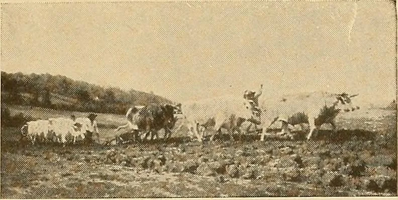 An illustration from Catalog of large carbon photographs, photogravures, engravings, etchings and copper-plate paintings in the educational art exhibitions of A.W. Elson & Company with a list of other pictures recommended for school, library, and home decoration, 1910, leaf 58