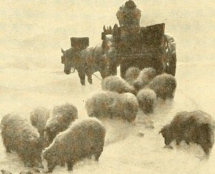 An illustration from Catalog of large carbon photographs, photogravures, engravings, etchings and copper-plate paintings in the educational art exhibitions of A.W. Elson & Company with a list of other pictures recommended for school, library, and home decoration, 1910, leaf 63