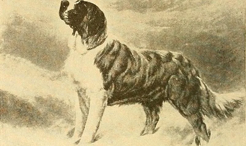 An illustration from Catalog of large carbon photographs, photogravures, engravings, etchings and copper-plate paintings in the educational art exhibitions of A.W. Elson & Company with a list of other pictures recommended for school, library, and home decoration, 1910, leaf 63