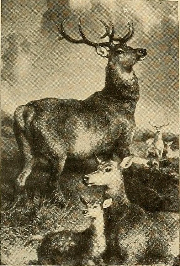 An illustration from Catalog of large carbon photographs, photogravures, engravings, etchings and copper-plate paintings in the educational art exhibitions of A.W. Elson & Company with a list of other pictures recommended for school, library, and home decoration, 1910, leaf 66