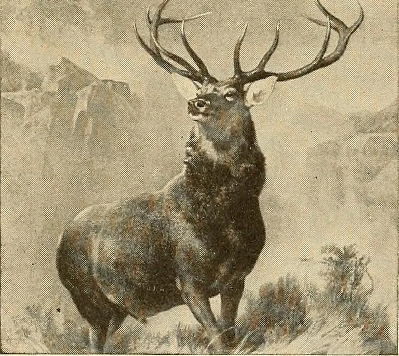 An illustration from Catalog of large carbon photographs, photogravures, engravings, etchings and copper-plate paintings in the educational art exhibitions of A.W. Elson & Company with a list of other pictures recommended for school, library, and home decoration, 1910, leaf 66