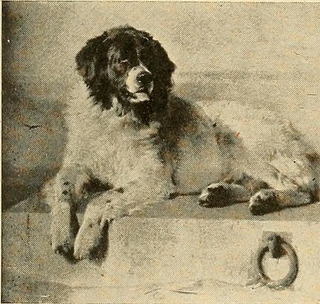 An illustration from Catalog of large carbon photographs, photogravures, engravings, etchings and copper-plate paintings in the educational art exhibitions of A.W. Elson & Company with a list of other pictures recommended for school, library, and home decoration, 1910, leaf 66