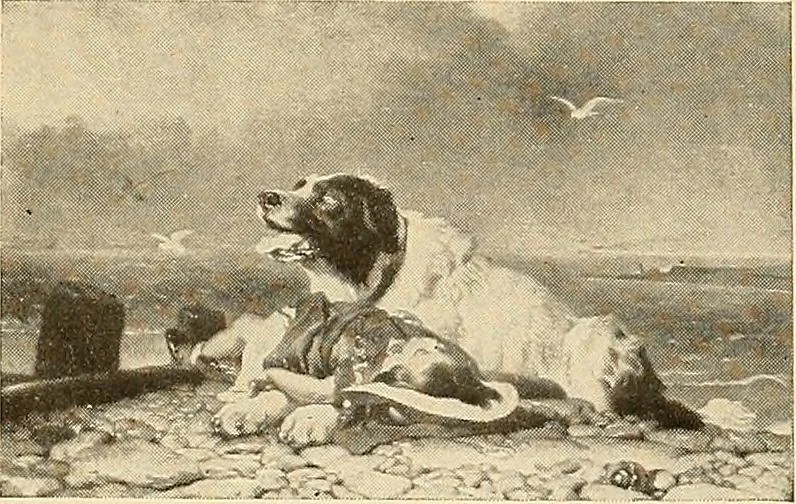 An illustration from Catalog of large carbon photographs, photogravures, engravings, etchings and copper-plate paintings in the educational art exhibitions of A.W. Elson & Company with a list of other pictures recommended for school, library, and home decoration, 1910, leaf 66