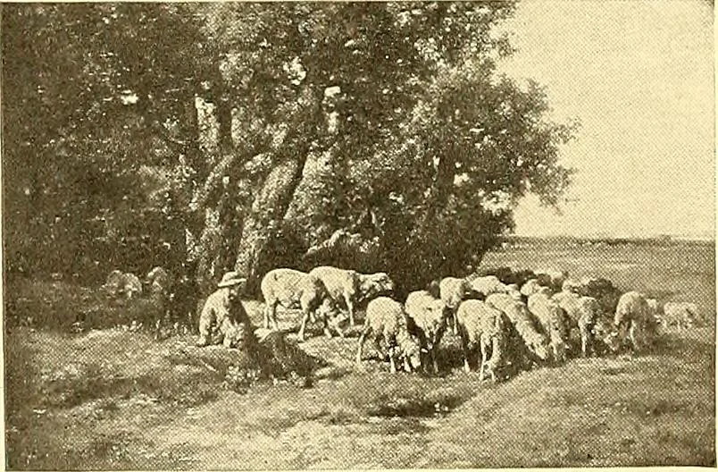 An illustration from Catalog of large carbon photographs, photogravures, engravings, etchings and copper-plate paintings in the educational art exhibitions of A.W. Elson & Company with a list of other pictures recommended for school, library, and home decoration, 1910, leaf 99