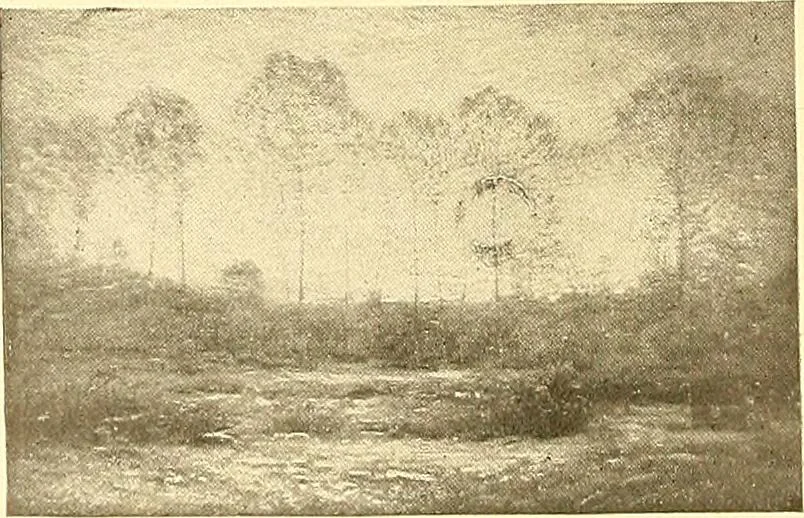 An illustration from Catalog of large carbon photographs, photogravures, engravings, etchings and copper-plate paintings in the educational art exhibitions of A.W. Elson & Company with a list of other pictures recommended for school, library, and home decoration, 1910, leaf 99