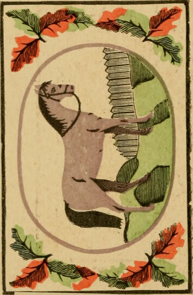 An illustration from [Catalog of rug patterns], 1891, leaf 15