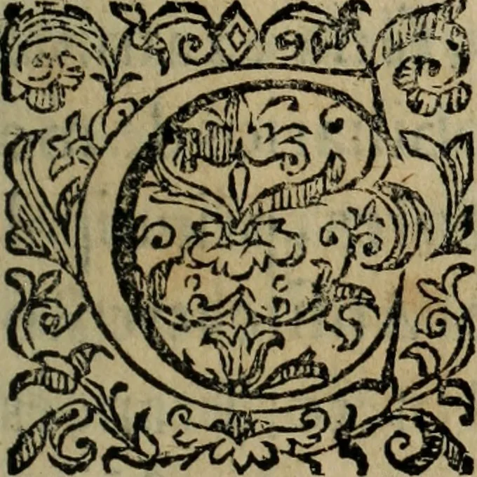 An illustration from Catalogo real, y genealogico de España, ascendencias, y descendencias de nuestros catolicos principes, y monarcas supremos : reformado, y añadido en esta ultima impression, con singulares noticias, curiosos origines de familias, con sejos, ordenes, dignidades ecclesiasticas, y seglares, gloriosos hechos, varios succesos, y nouedades antiguas, dignas de perpetua memoria, 1656, leaf 6