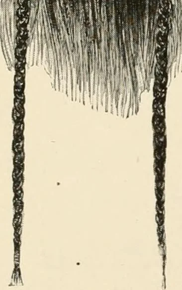 An illustration from [Catalogue], 1908, leaf 23