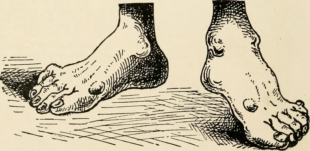 An illustration from [Catalogue], 1908, leaf 53