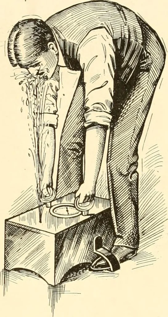 An illustration from [Catalogue], 1908, leaf 60