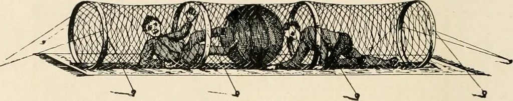 An illustration from [Catalogue], 1908, leaf 67