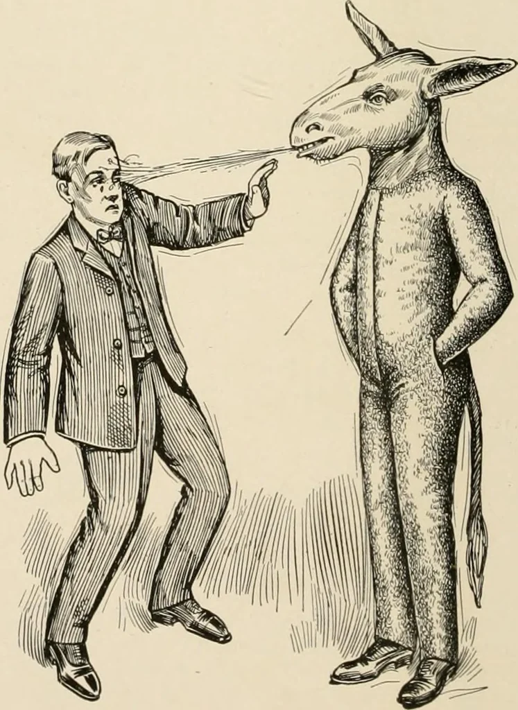 An illustration from [Catalogue], 1908, leaf 81