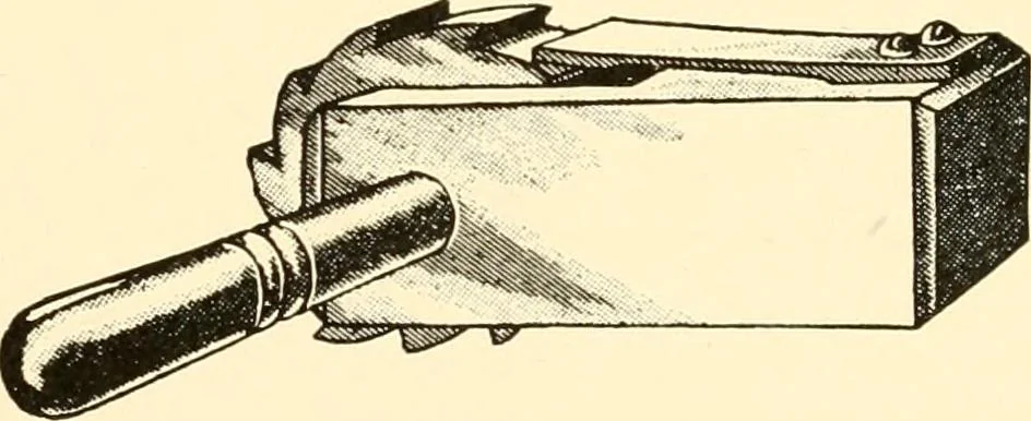 An illustration from [Catalogue], 1908, leaf 82