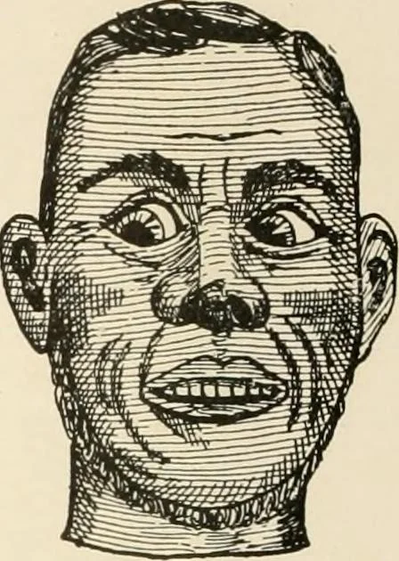 An illustration from [Catalogue], 1908, leaf 87