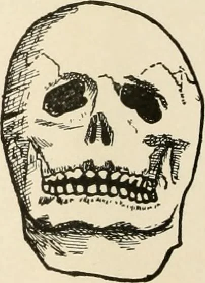 An illustration from [Catalogue], 1908, leaf 87
