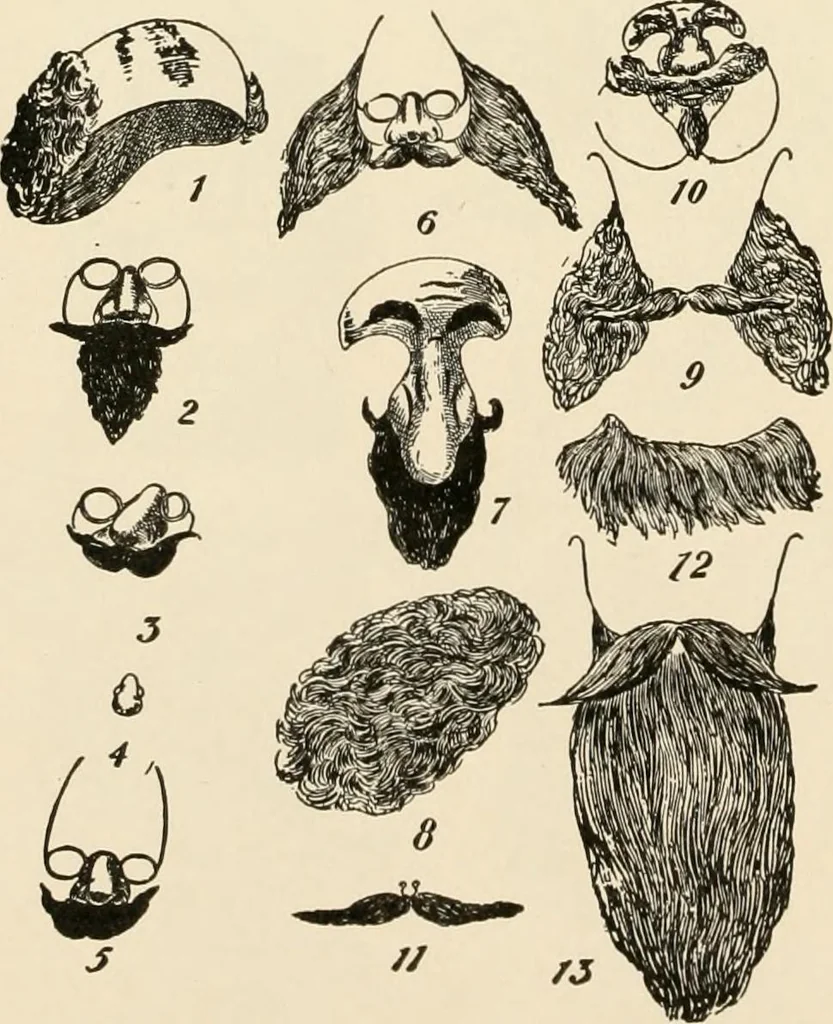 An illustration from [Catalogue], 1908, leaf 89