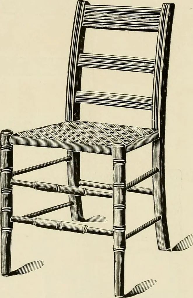 An illustration from Catalogue 1894-95., 1894, leaf 13