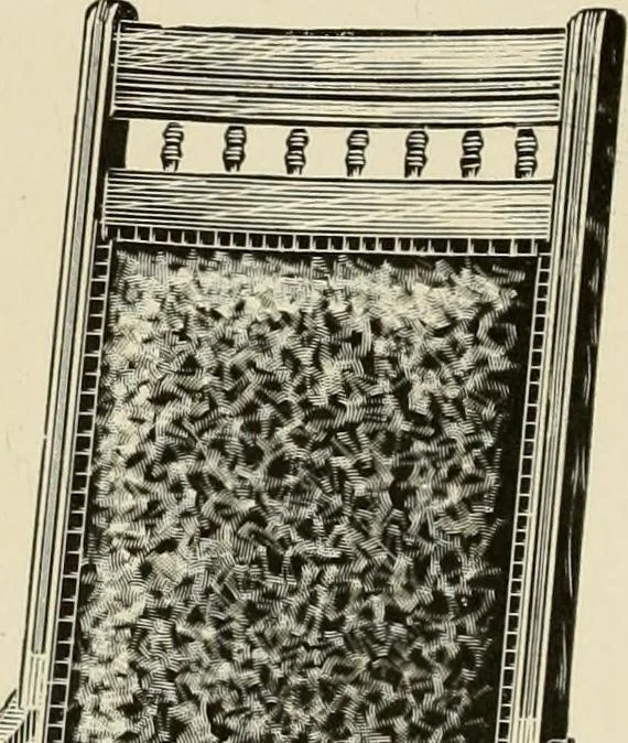 An illustration from Catalogue 1894-95., 1894, leaf 29