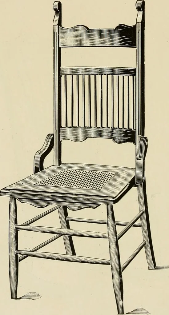 An illustration from Catalogue 1894-95., 1894, leaf 37
