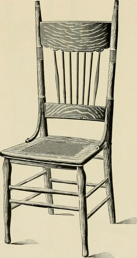 An illustration from Catalogue 1894-95., 1894, leaf 39