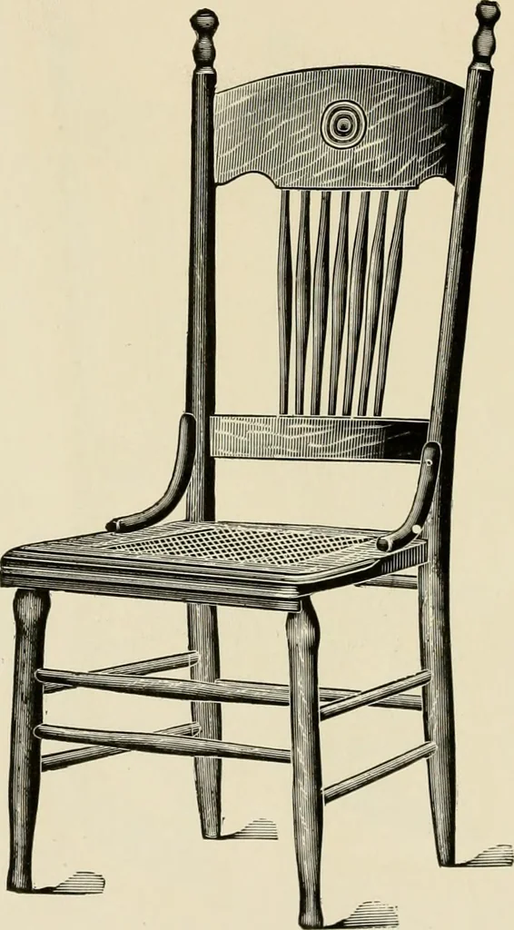 An illustration from Catalogue 1894-95., 1894, leaf 43