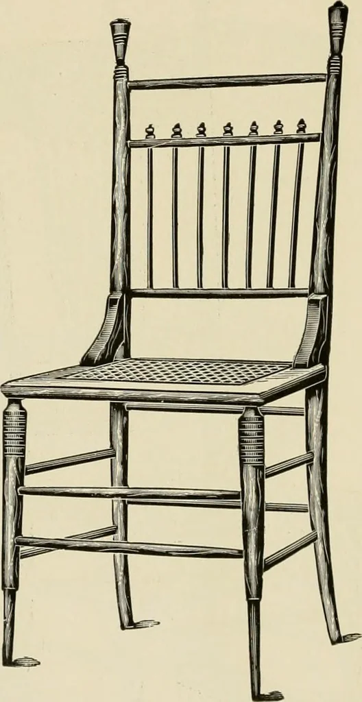 An illustration from Catalogue 1894-95., 1894, leaf 45