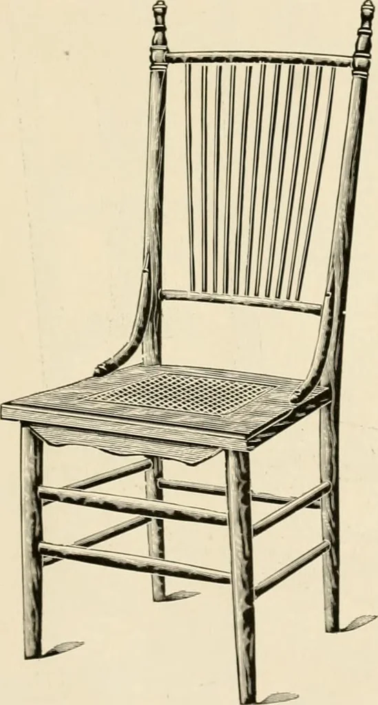An illustration from Catalogue 1894-95., 1894, leaf 50