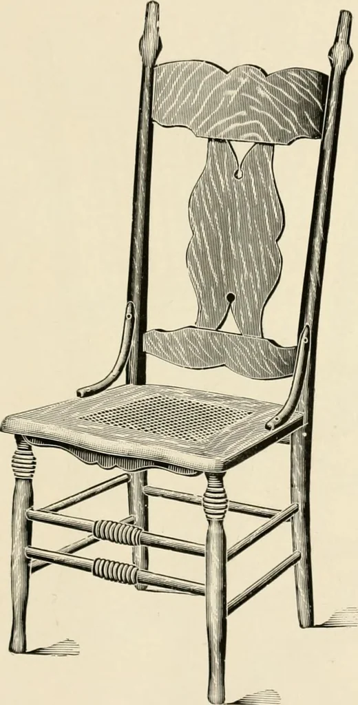 An illustration from Catalogue 1894-95., 1894, leaf 54