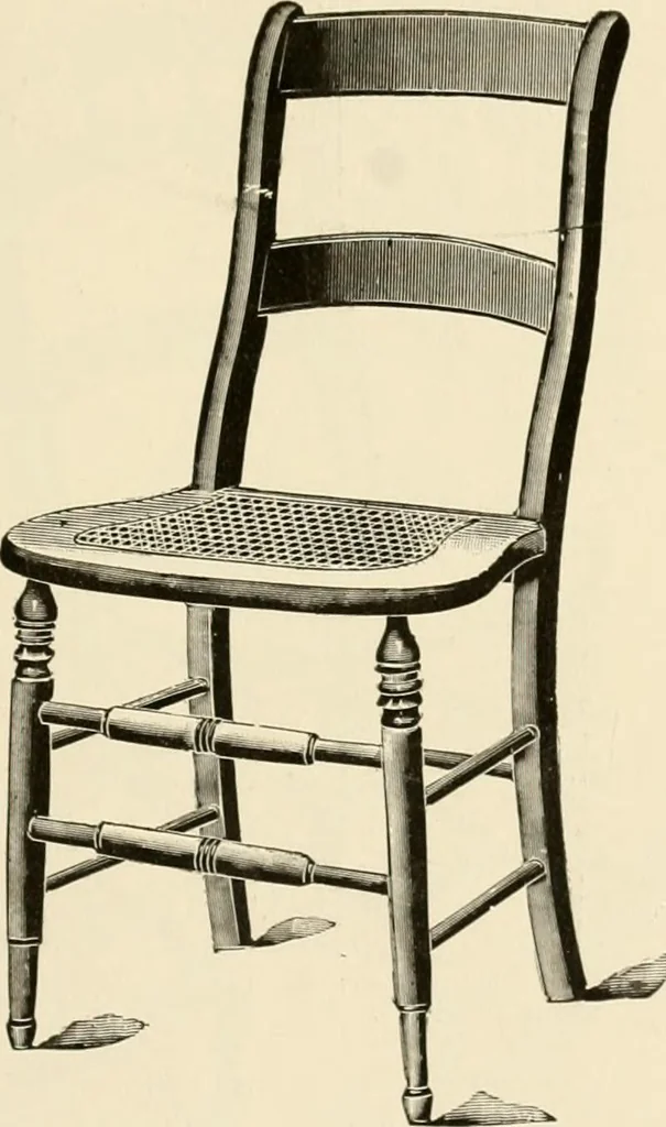 An illustration from Catalogue 1894-95., 1894, leaf 6