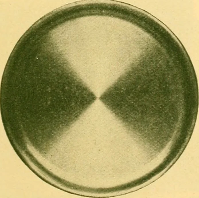 An illustration from Catalogue 82., 1911, leaf 20