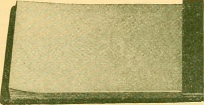 An illustration from Catalogue 82., 1911, leaf 20