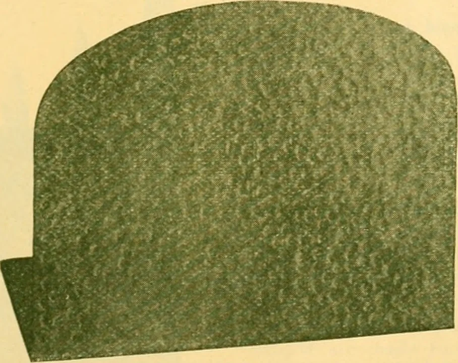 An illustration from Catalogue 82., 1911, leaf 22
