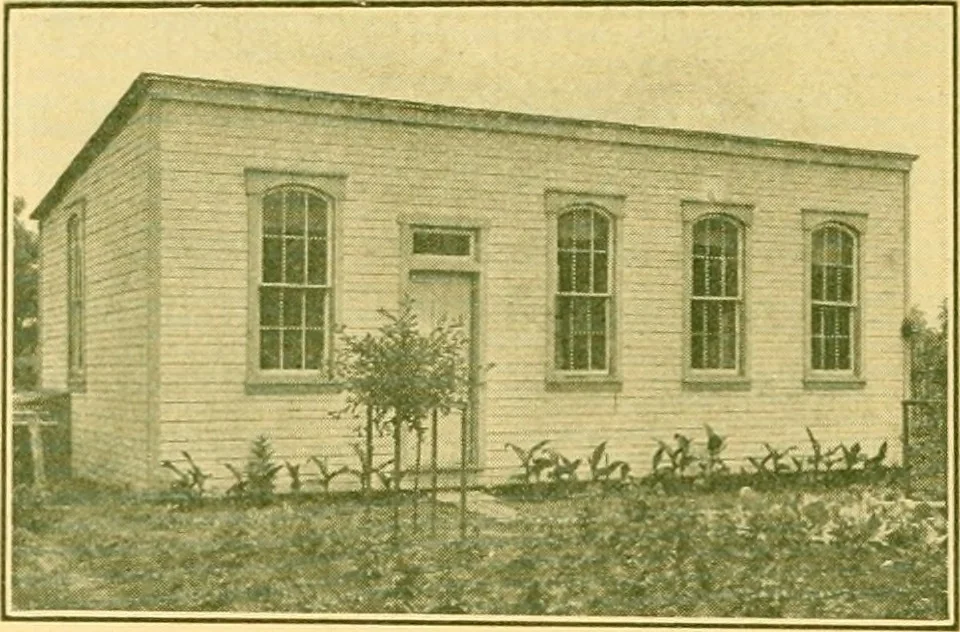 An illustration from Catalogue 82., 1911, leaf 5
