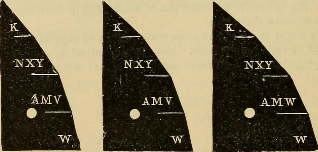 An illustration from Catalogue. A.H. Abbott & co., manufacturers and importers of mathematical and surveying instruments and drawing materials of every description .., 1896, leaf 161