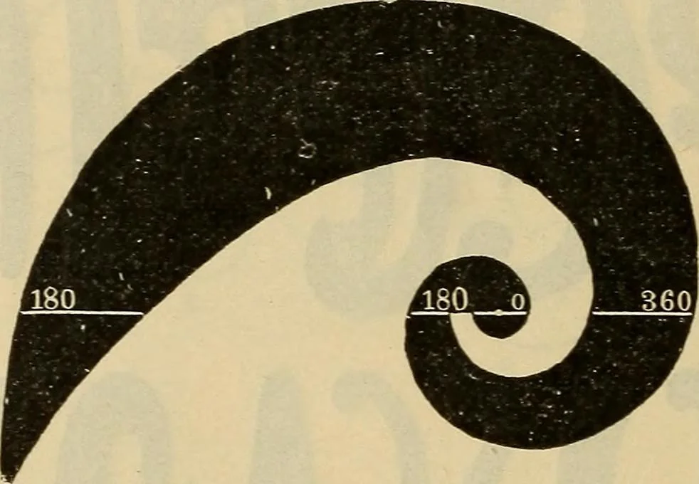 An illustration from Catalogue. A.H. Abbott & co., manufacturers and importers of mathematical and surveying instruments and drawing materials of every description .., 1896, leaf 165