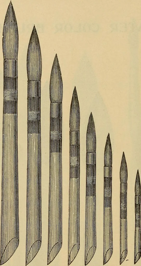 An illustration from Catalogue. A.H. Abbott & co., manufacturers and importers of mathematical and surveying instruments and drawing materials of every description .., 1896, leaf 193