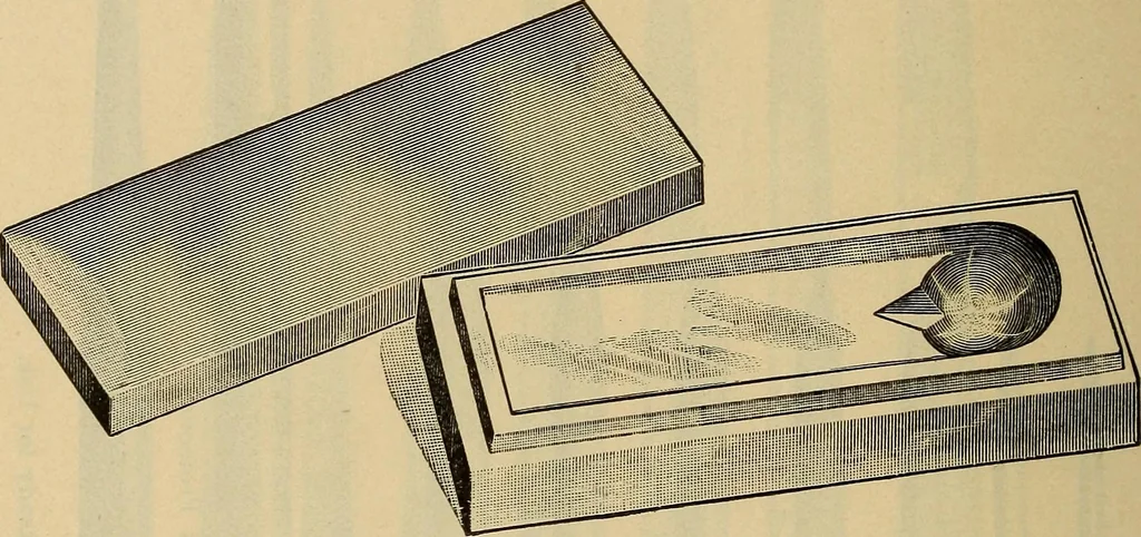 An illustration from Catalogue. A.H. Abbott & co., manufacturers and importers of mathematical and surveying instruments and drawing materials of every description .., 1896, leaf 197