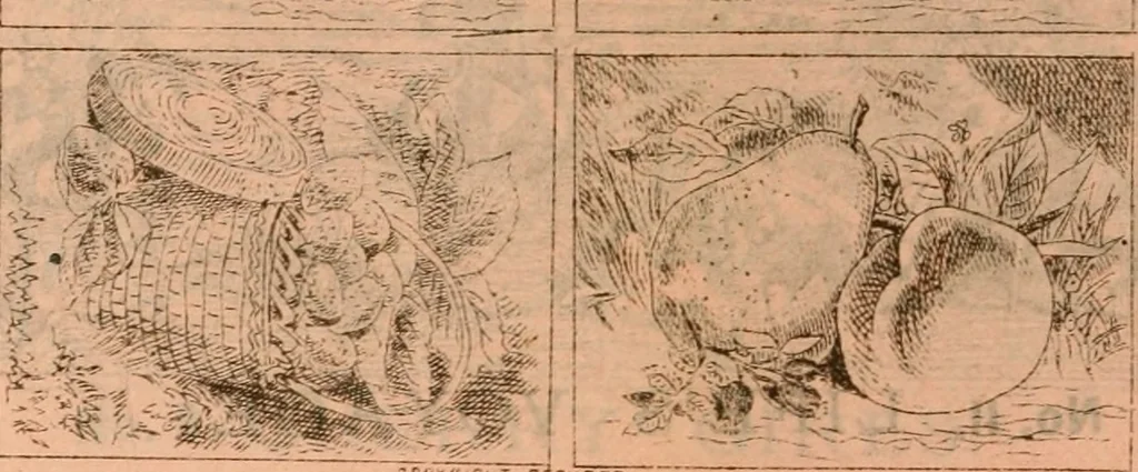 An illustration from Catalogue : Carter's oil chromos, Carter's popular crayons., 1877, leaf 11