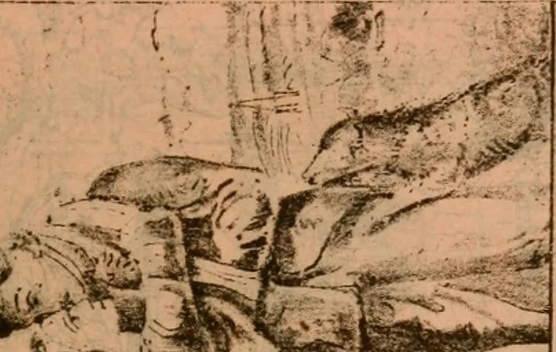 An illustration from Catalogue : Carter's oil chromos, Carter's popular crayons., 1877, leaf 28
