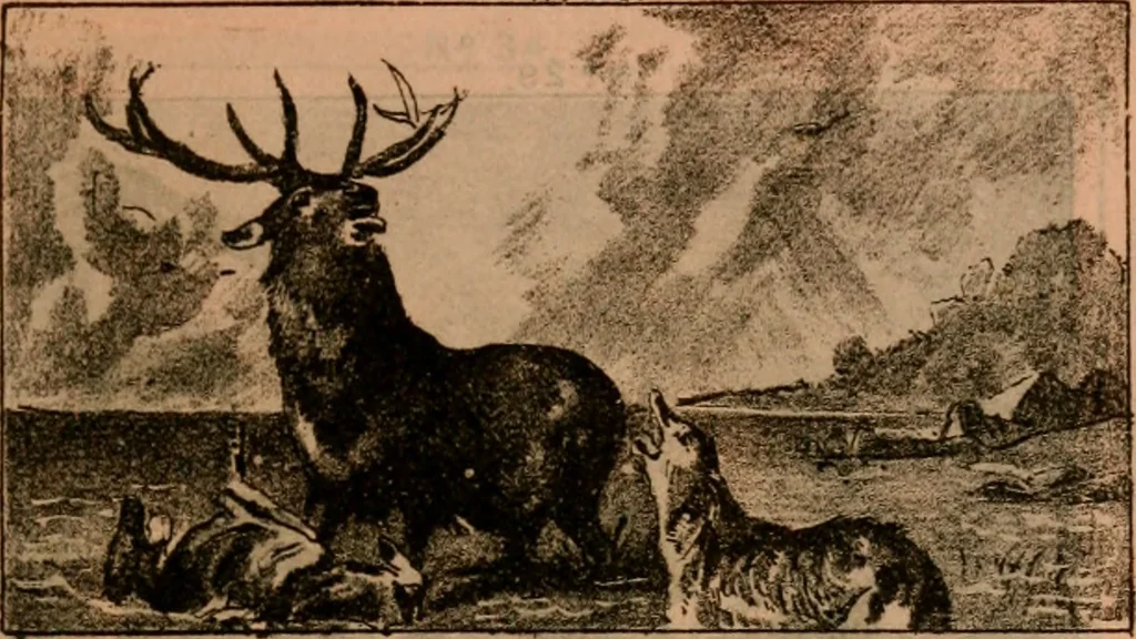 An illustration from Catalogue : Carter's oil chromos, Carter's popular crayons., 1877, leaf 40